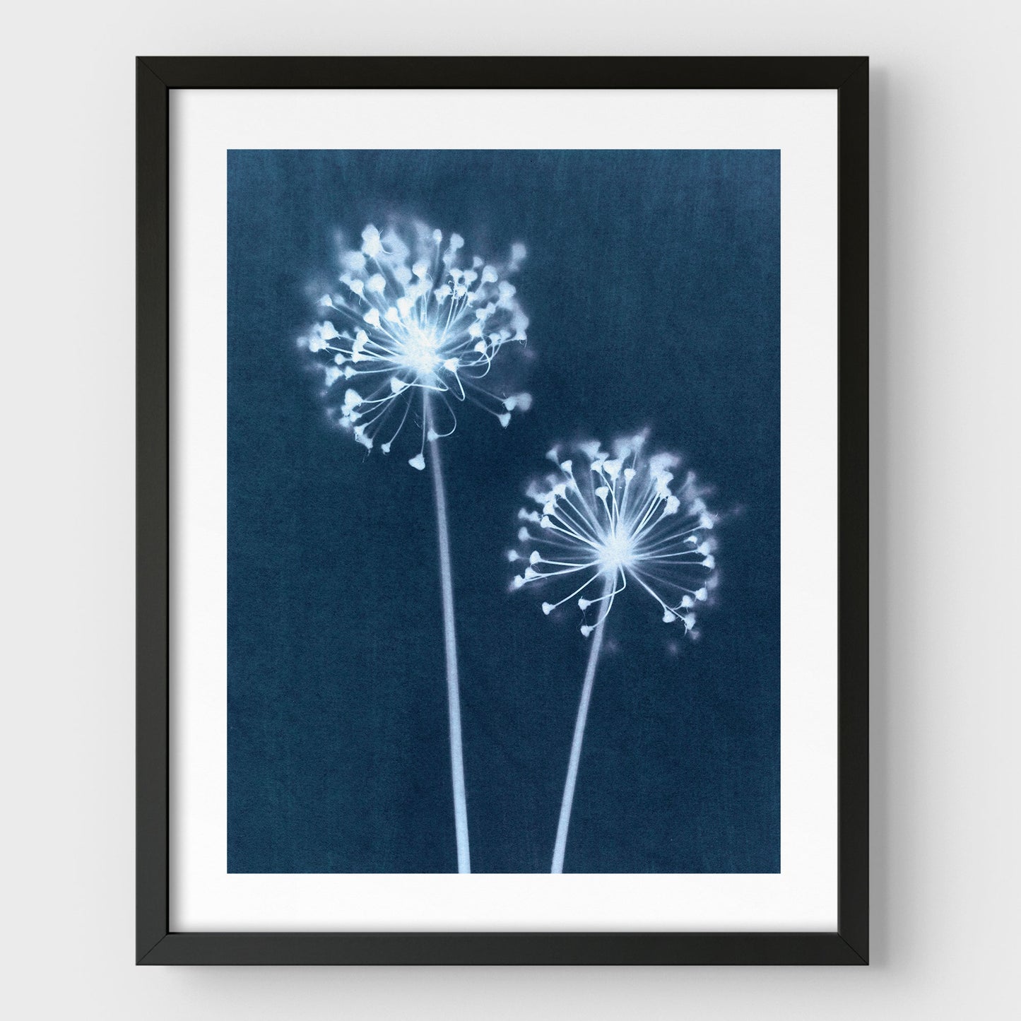 Indigo Dandelion Print