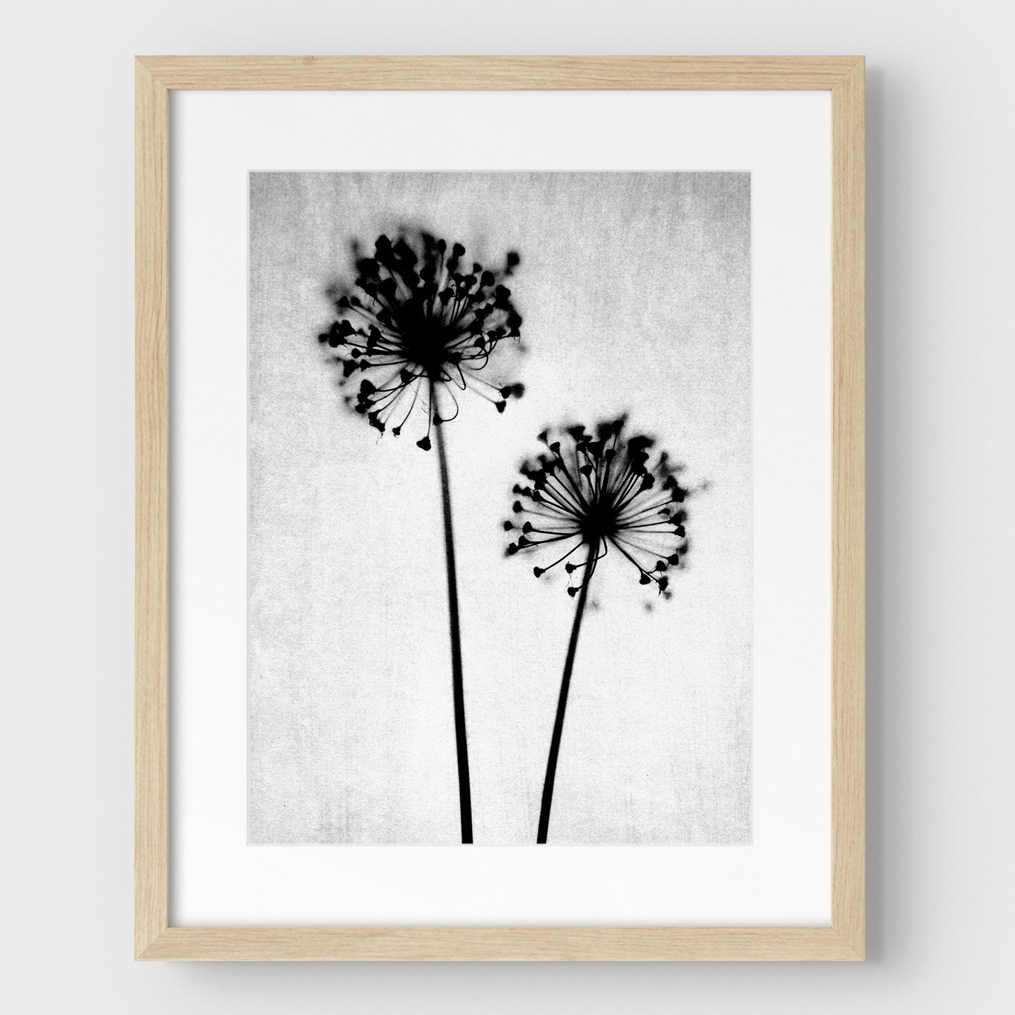 Black and White Dandelion Print