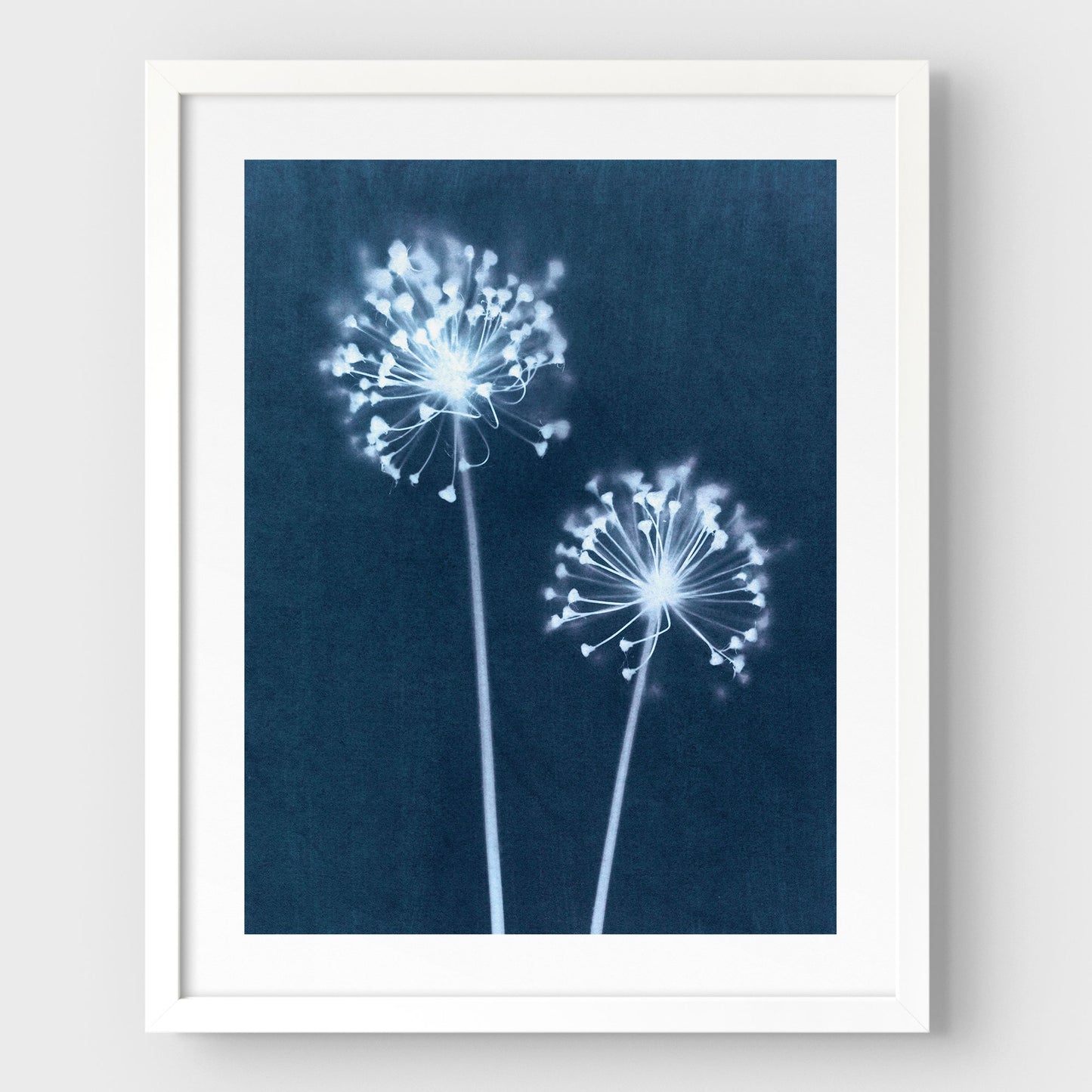 Indigo Dandelion Print