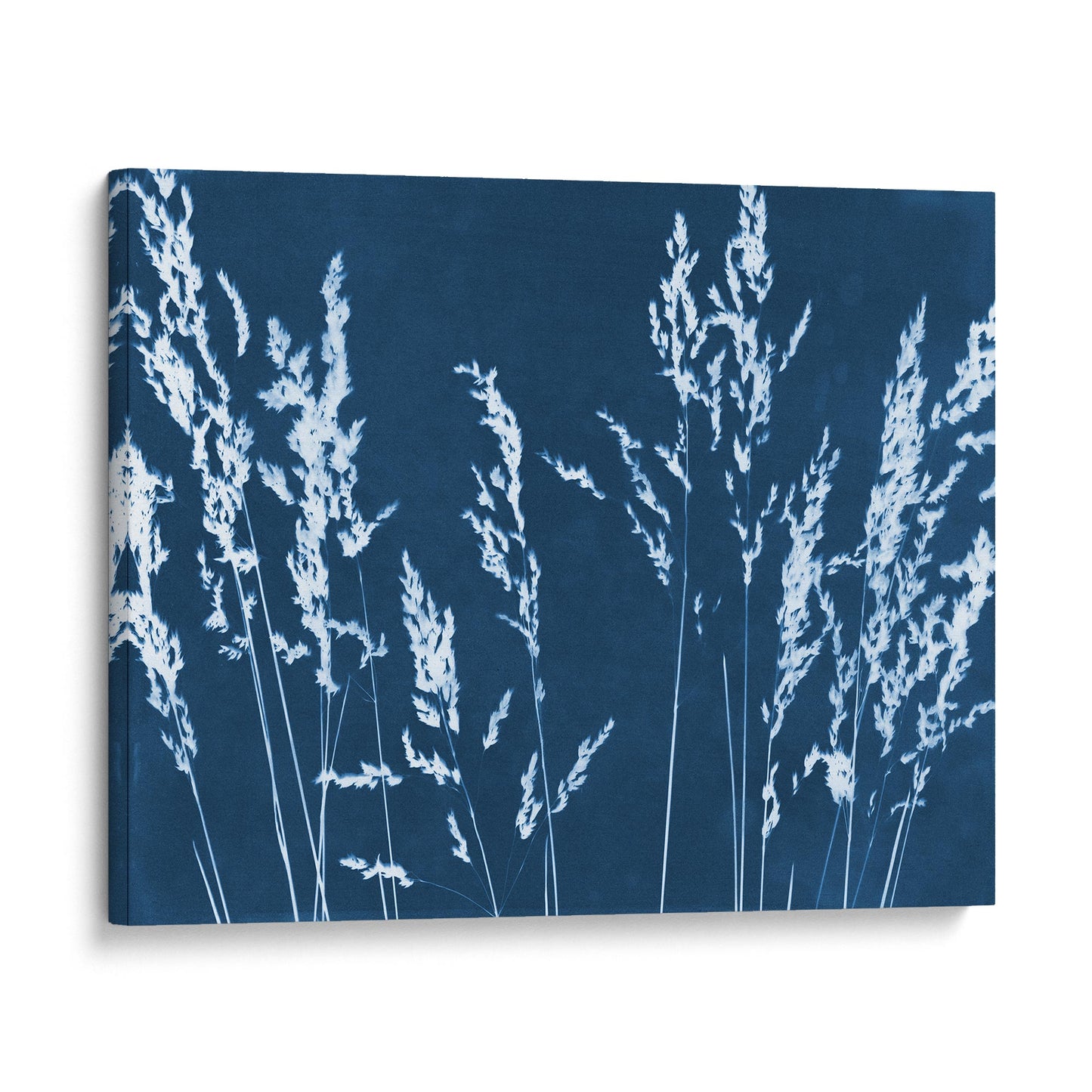 Canvas print of a cyanotype featuring white wild grass silhouettes against a deep blue background, presented with a gallery-wrapped edge.
