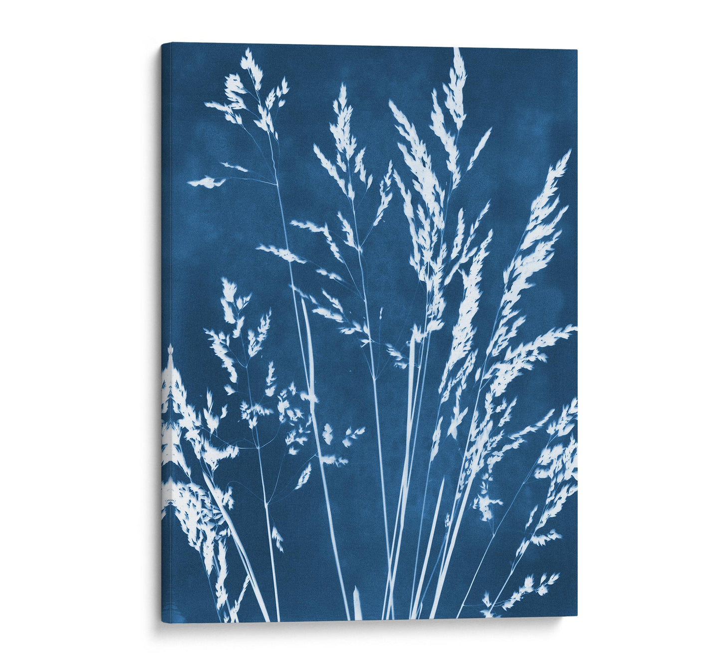 Canvas print featuring a cyanotype botanical design of wild grasses in white against a deep blue background, with edges wrapped around the sides for a seamless look.