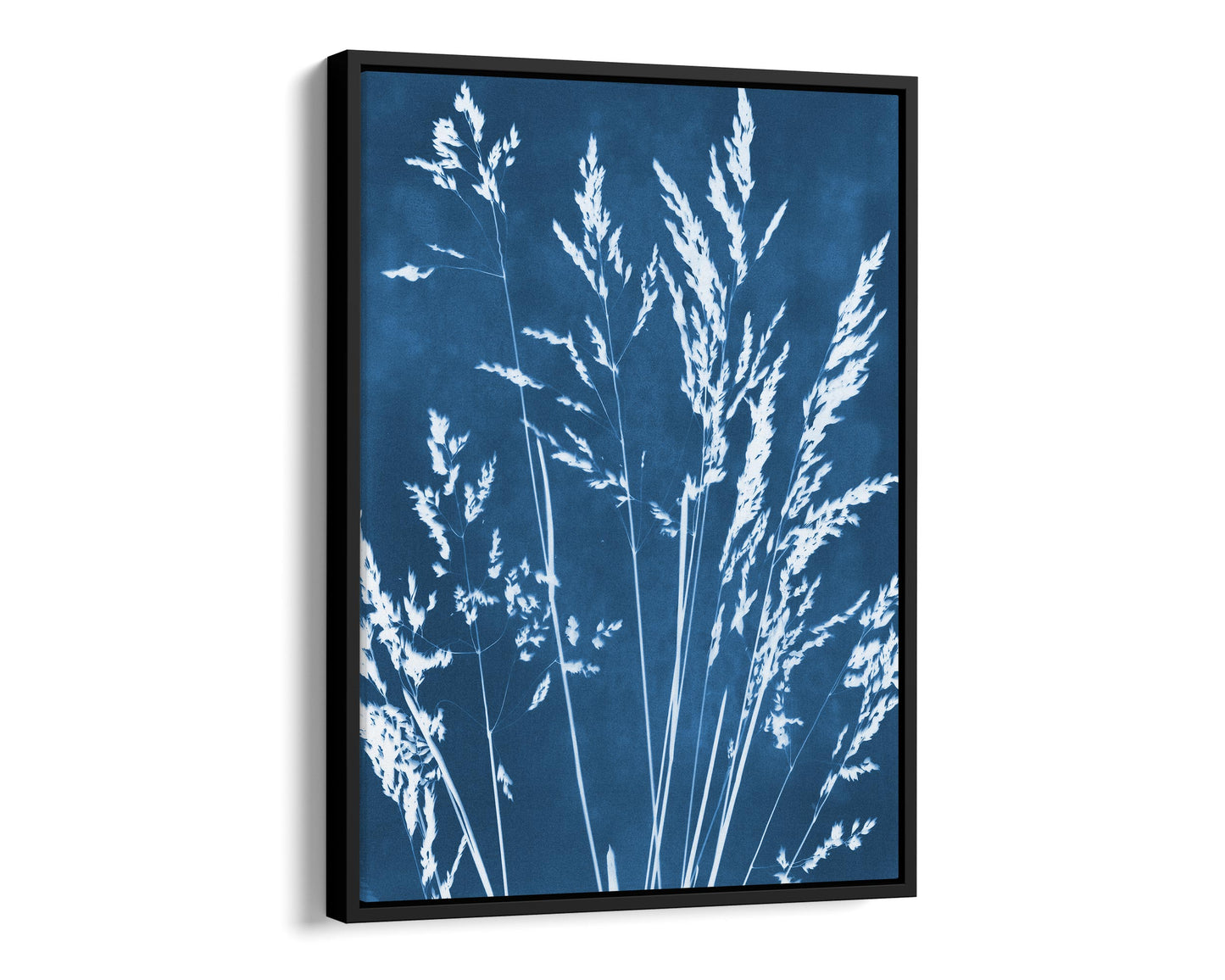 Framed canvas print of a cyanotype botanical design featuring white wild grasses against a deep blue background, encased in a slim black floating frame.