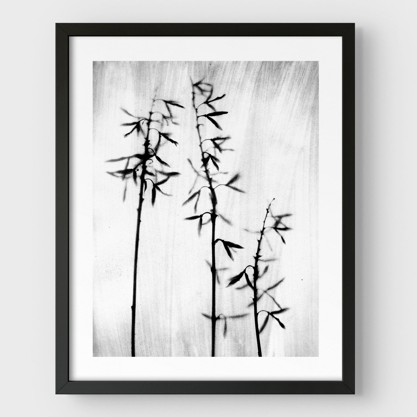 Black and White Bamboo Print