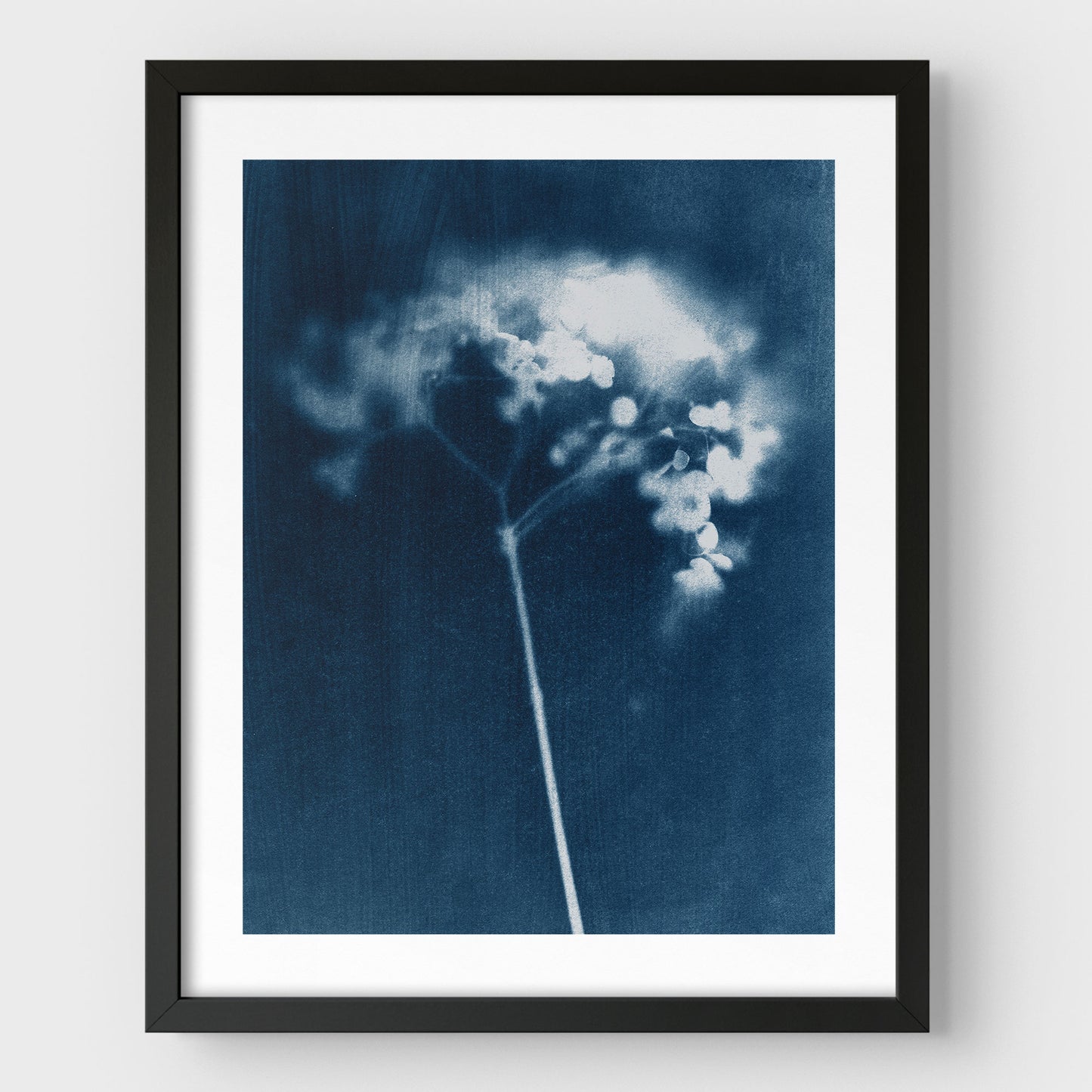 Indigo Hydrangea Print