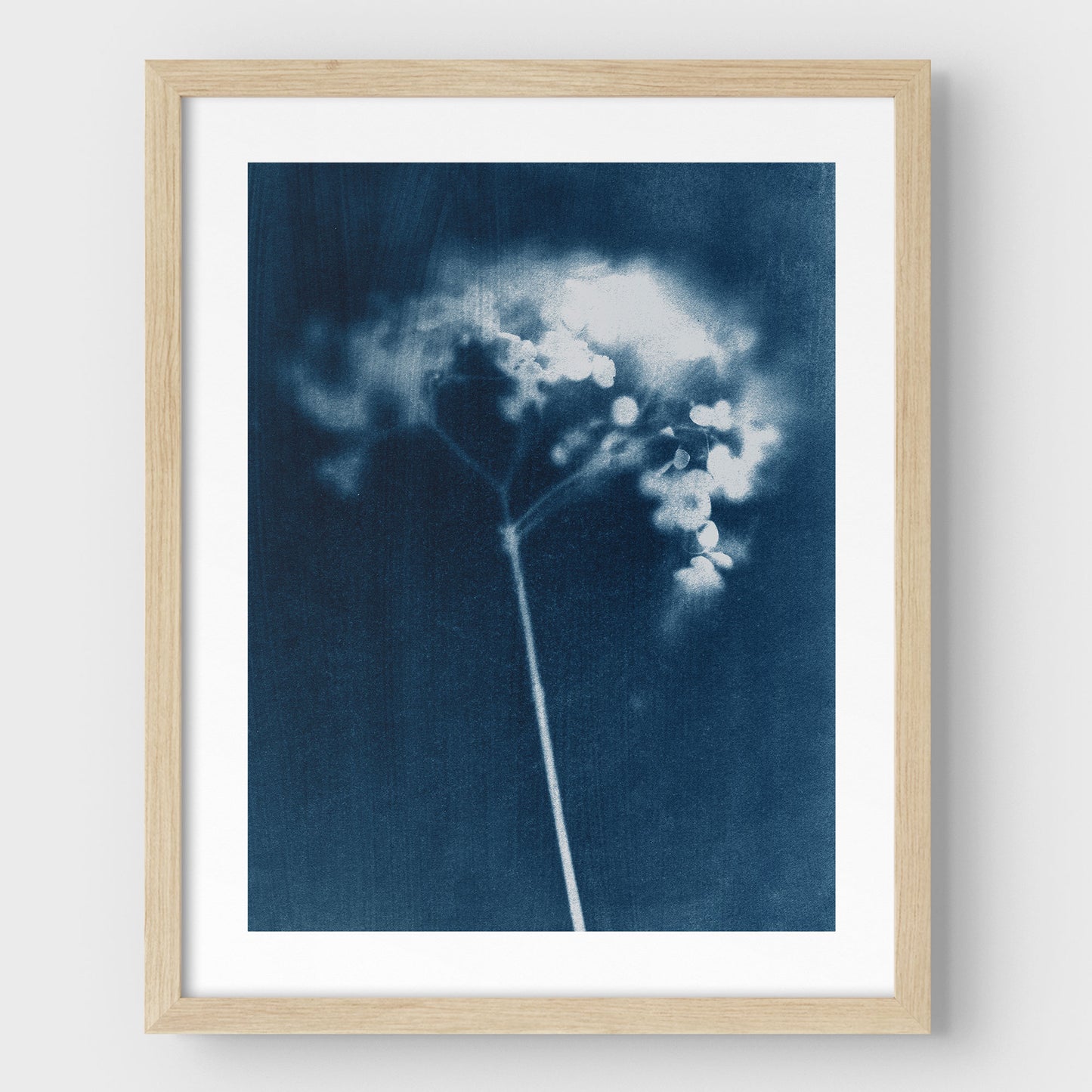 Indigo Hydrangea Print