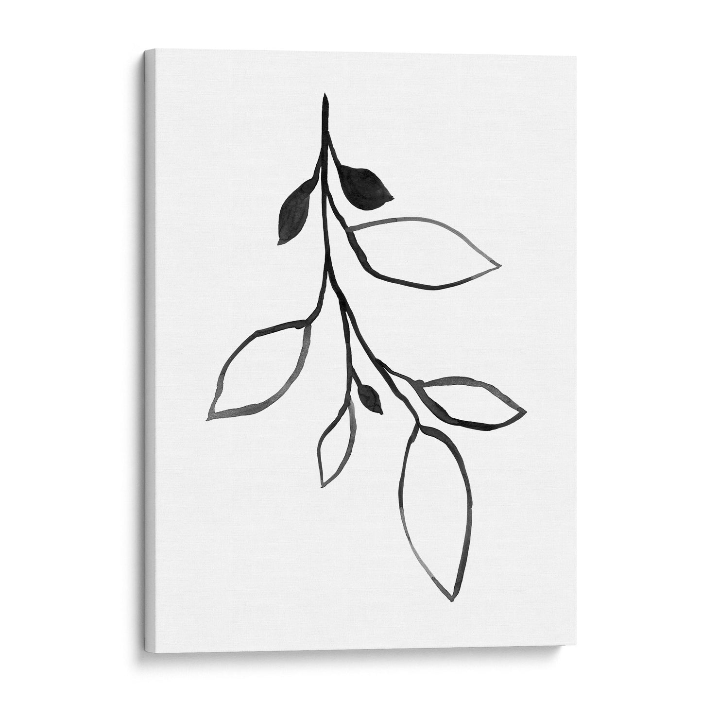 Minimalist Botanical Black and White Ink Illustration Print