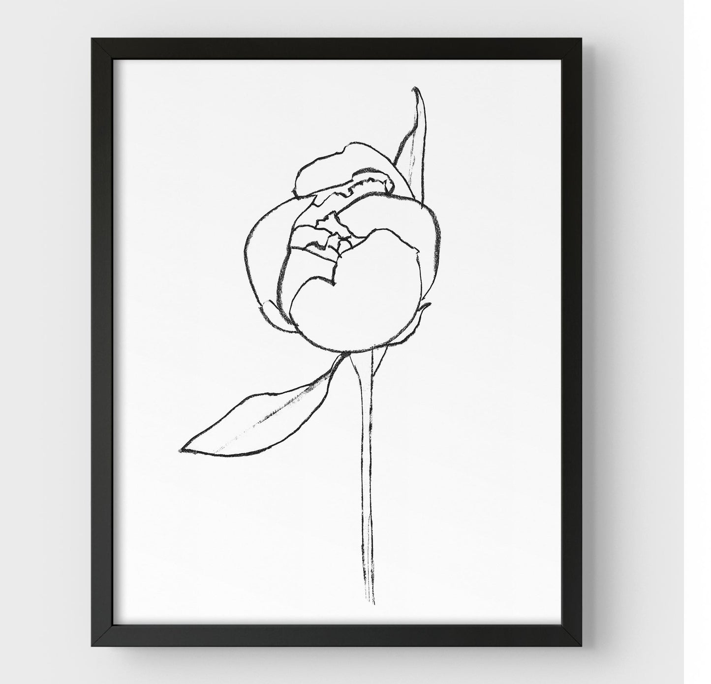 Framed minimalist line drawing of a peony bud with a single leaf, enclosed in a black frame against a white background.