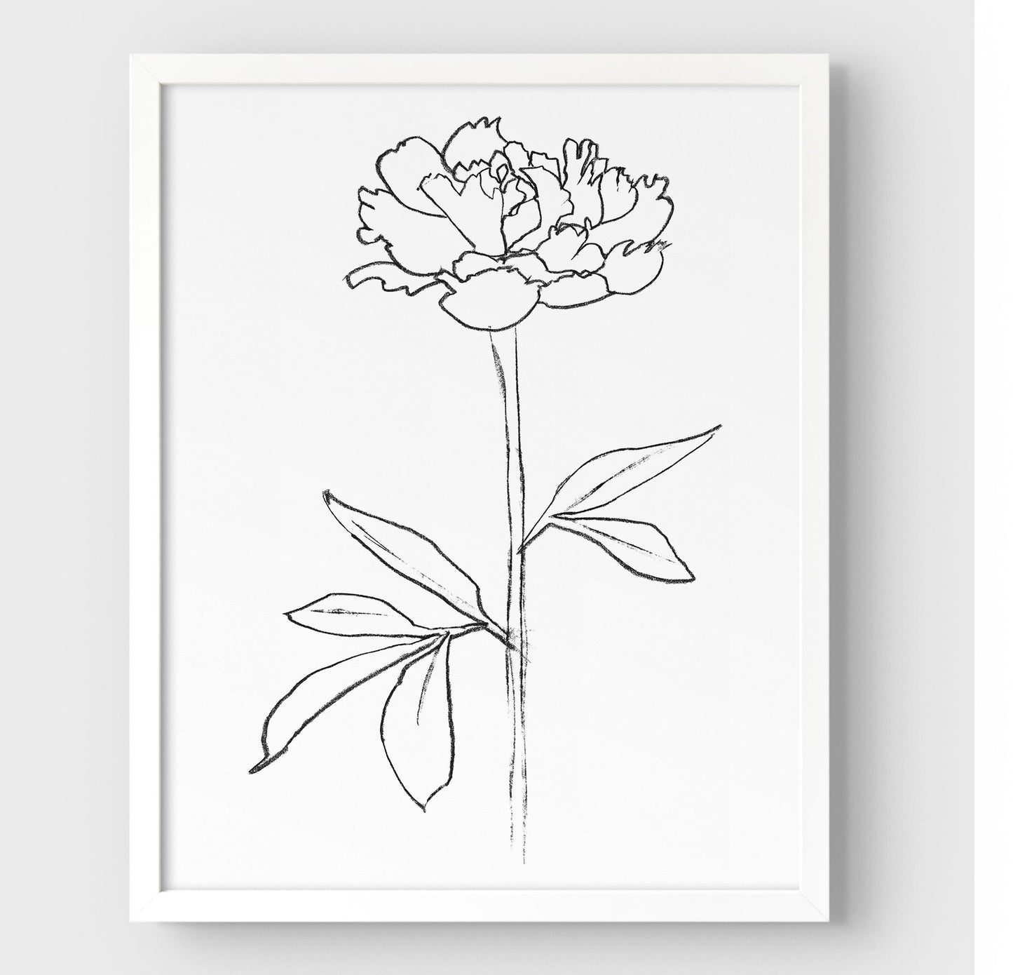 Minimalist black and white line drawing of a peony flower, framed in white against a white background.