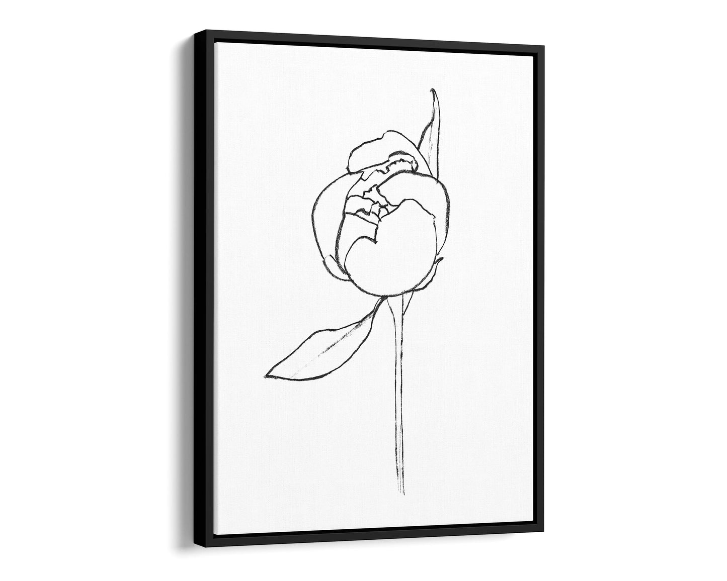 Black framed canvas print of a minimalist line drawing depicting a peony bud with a single leaf, set against a white background.