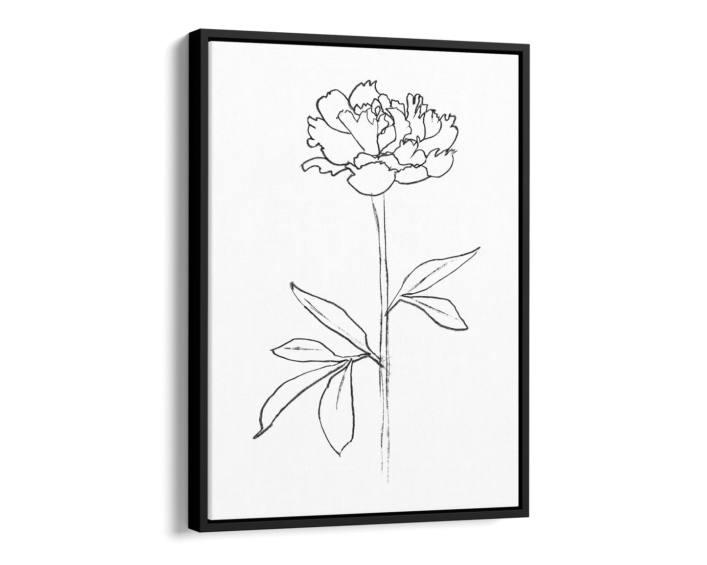 Minimalist black and white line drawing of a peony flower in a black frame, printed on a white canvas background.