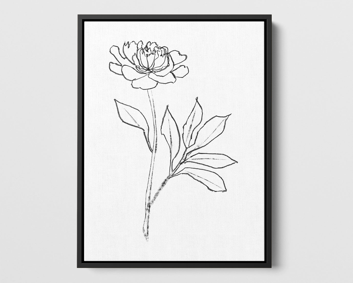 Peony Print