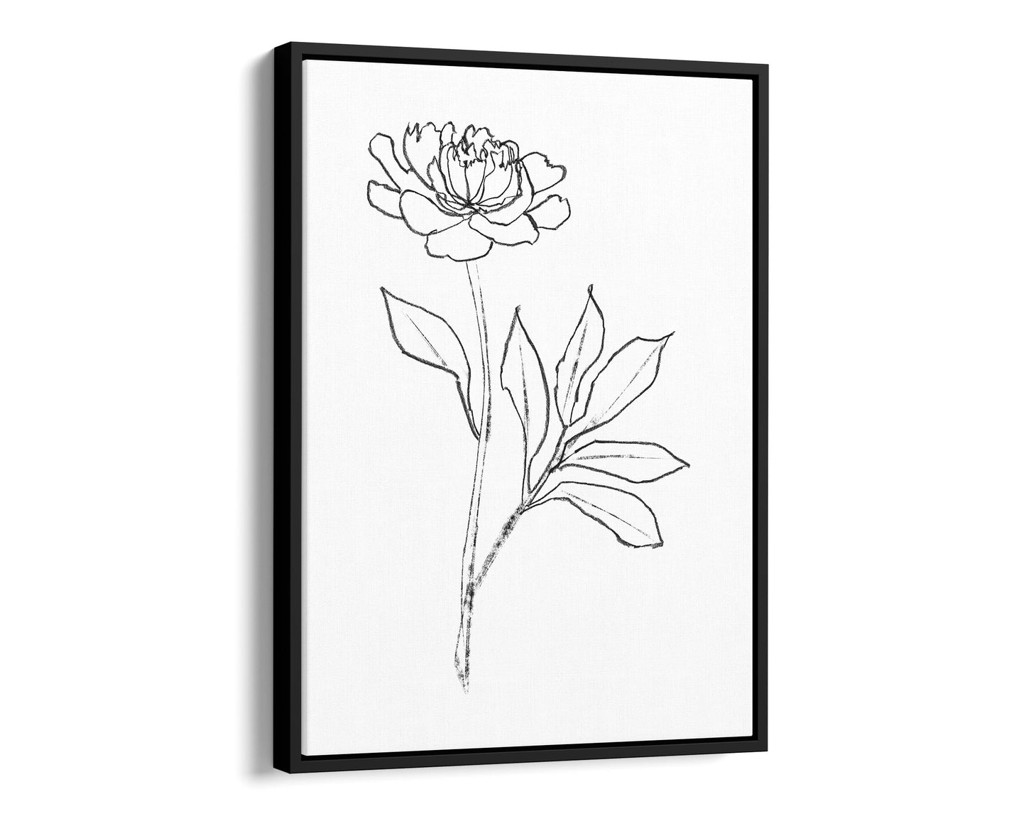 Minimalist black-and-white line drawing of a peony flower on black framed canvas, featuring delicate petals and leaves against a white background.