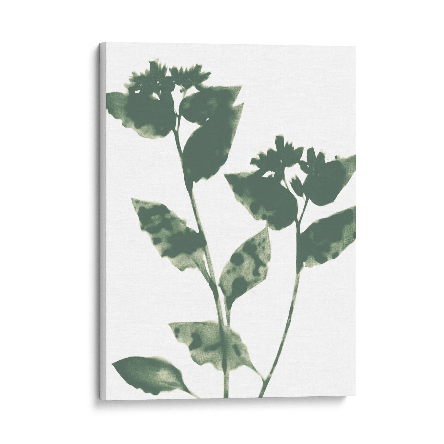 Sage Green Flowers Modern Minimalist Botanical Print