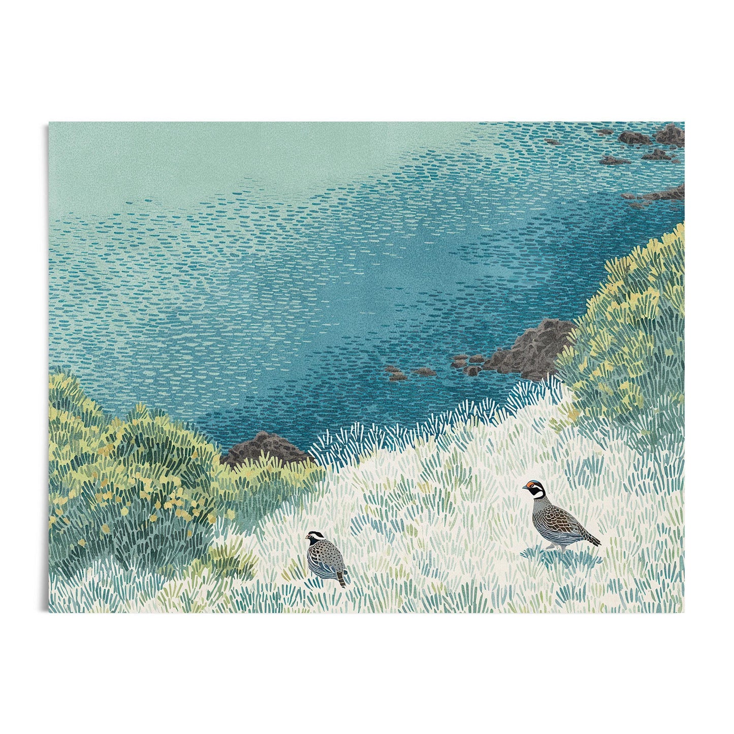 Giclée art print featuring two California quail in a sunlit coastal meadow, surrounded by textured grasses, shrubs, and a distant rocky shoreline. Rendered in a soft, stippled style with layered shades of green, teal, and blue, the piece evokes a peaceful, windswept moment in nature.