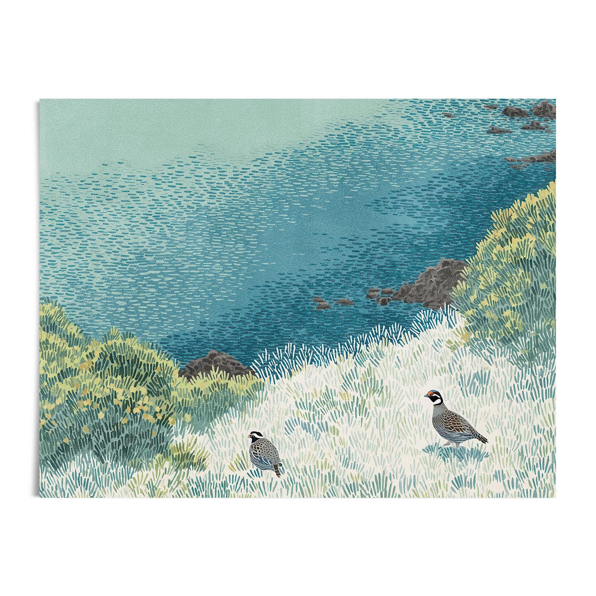 Giclée art print featuring two California quail in a sunlit coastal meadow, surrounded by textured grasses, shrubs, and a distant rocky shoreline. Rendered in a soft, stippled style with layered shades of green, teal, and blue, the piece evokes a peaceful, windswept moment in nature.