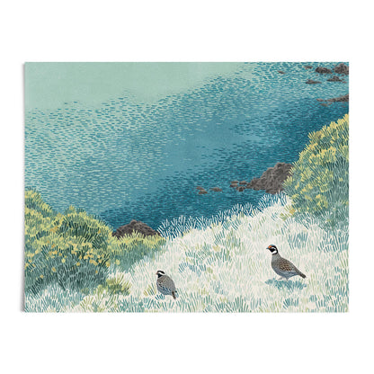 Giclée art print featuring two California quail in a sunlit coastal meadow, surrounded by textured grasses, shrubs, and a distant rocky shoreline. Rendered in a soft, stippled style with layered shades of green, teal, and blue, the piece evokes a peaceful, windswept moment in nature.