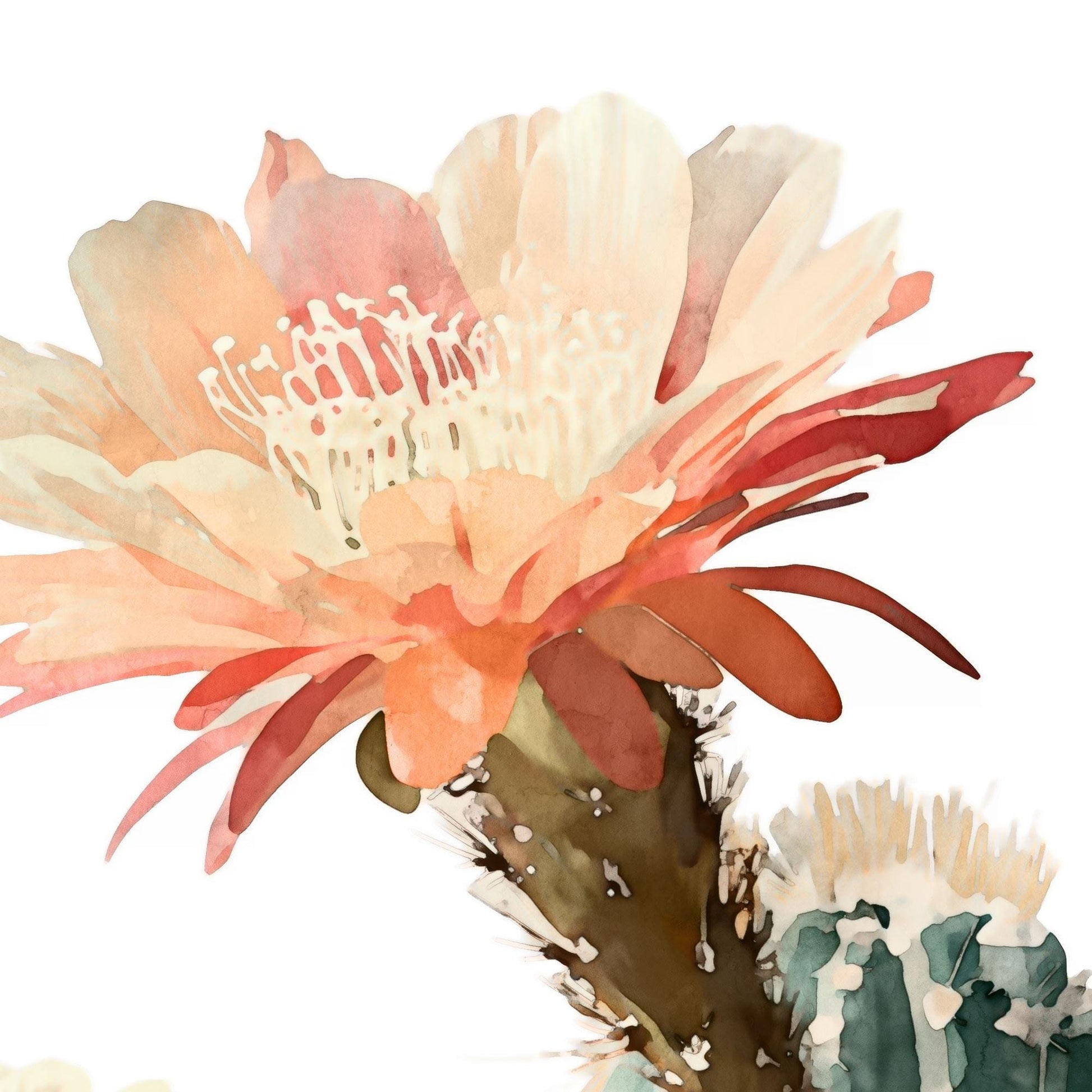 Close-up of a watercolor cactus flower in soft peach and coral tones with delicate white stamens, painted atop a green cactus stem with spines, set against a clean white background.