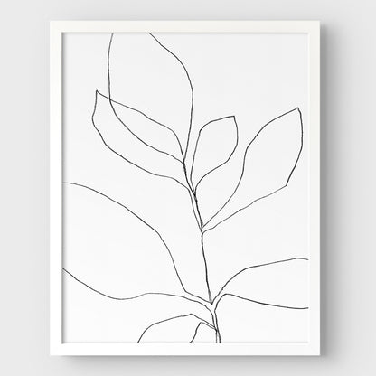 Seven Leaf Plant Black and White Minimalist Botanical Line Drawing Print