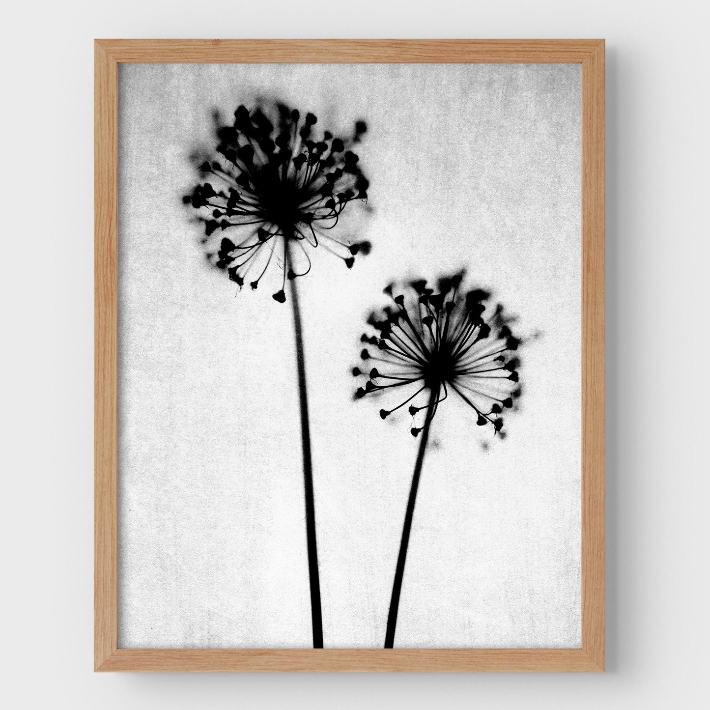Black and White Dandelion Print