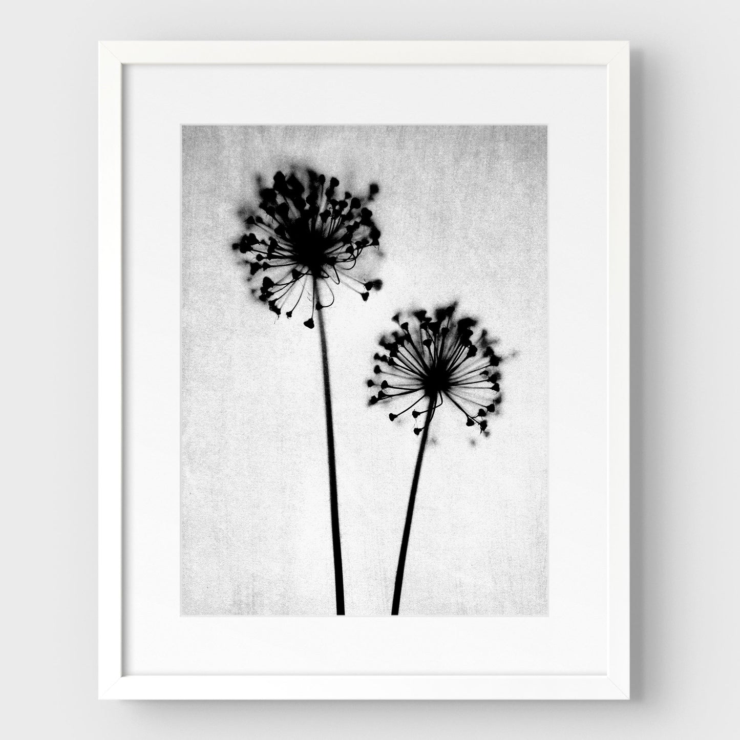 Black and White Dandelion Print