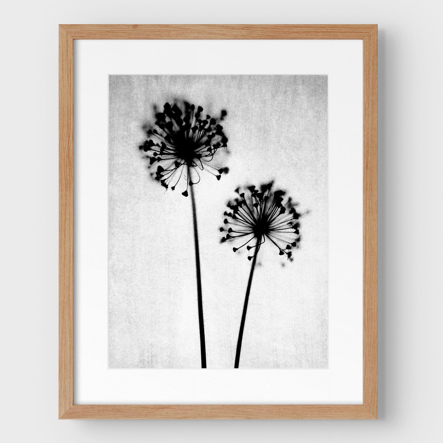 Black and White Dandelion Print