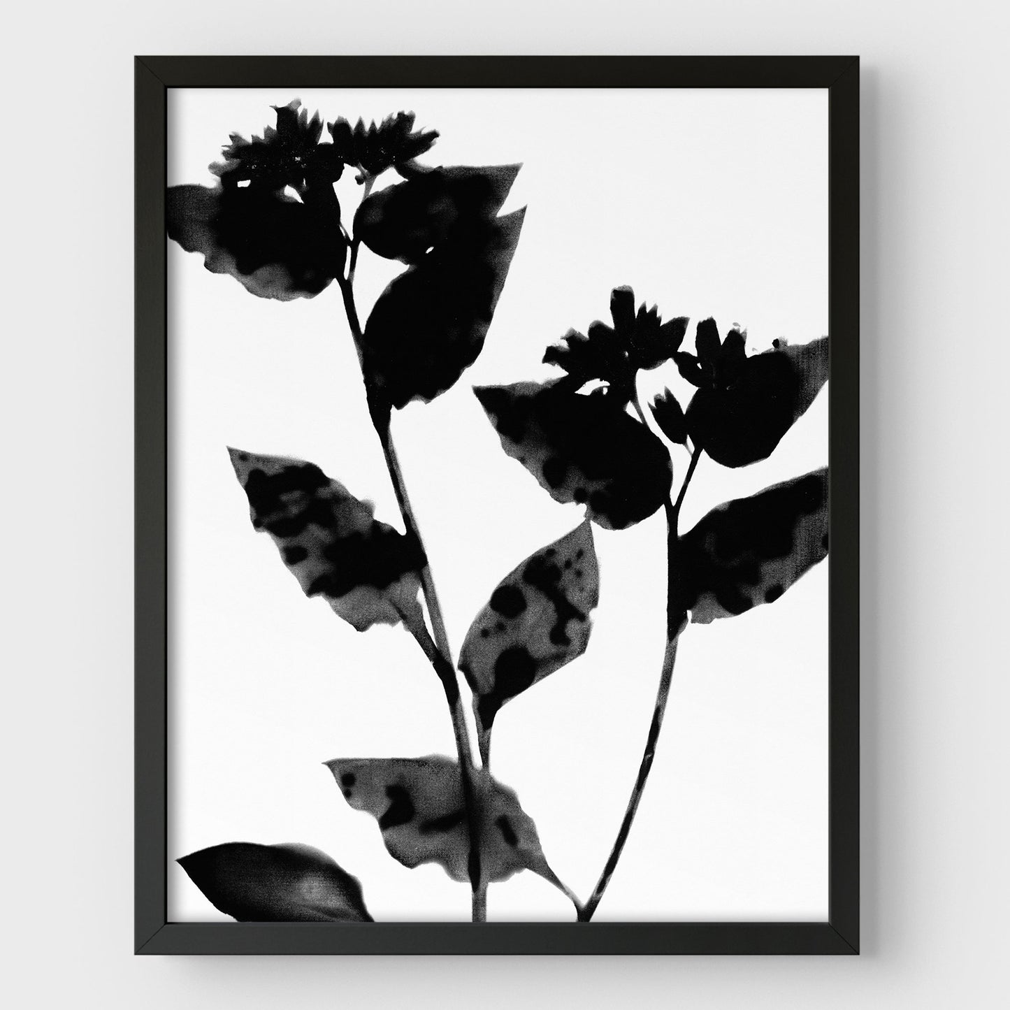 Black and White Flower Silhouette Print