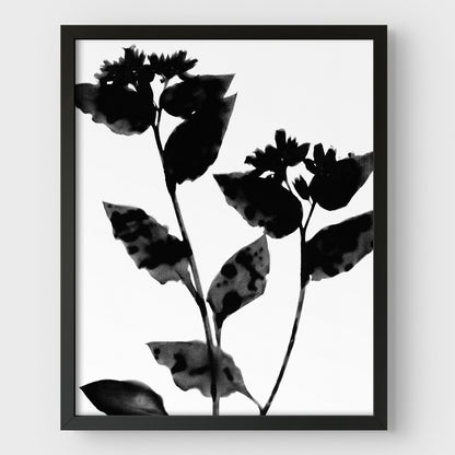 Black and White Flower Silhouette Print