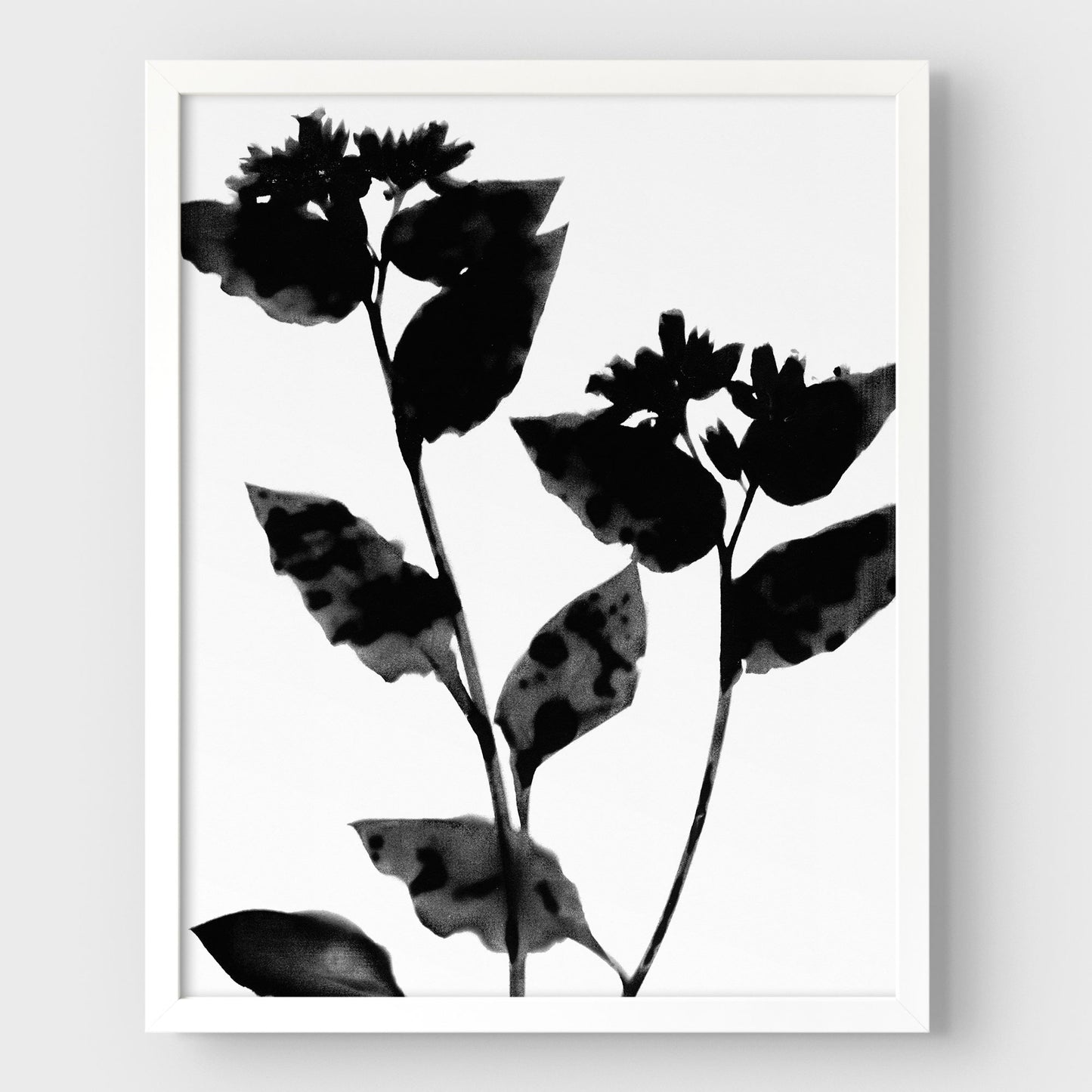Black and White Flower Silhouette Print
