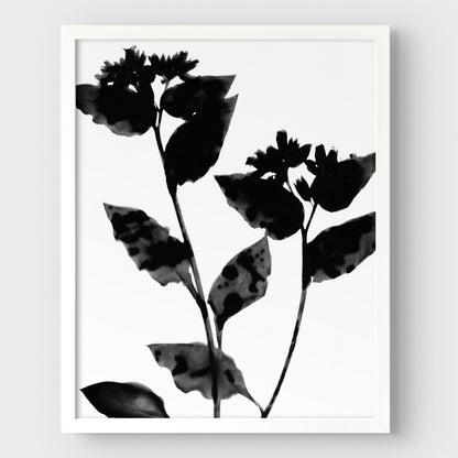 Black and White Flower Silhouette Print
