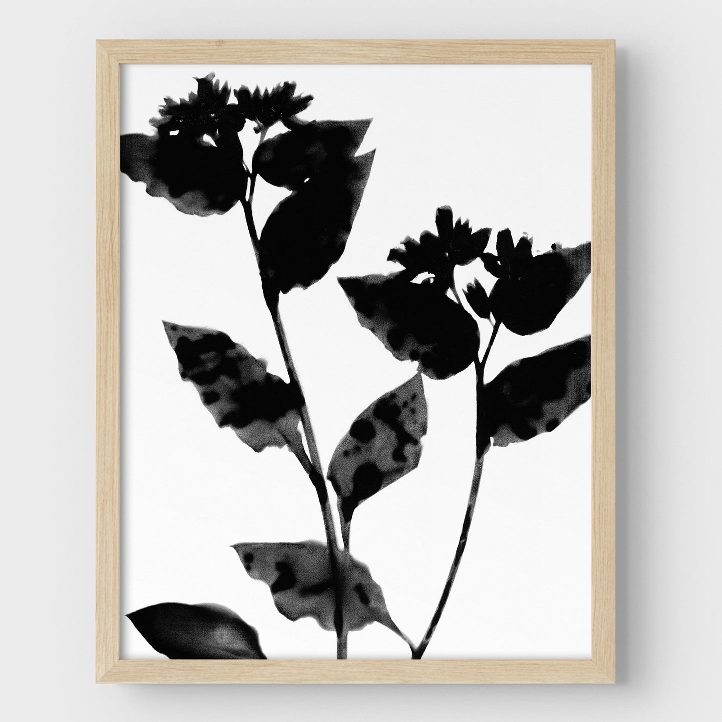 Black and White Flower Silhouette Print
