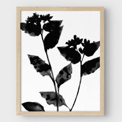 Black and White Flower Silhouette Print