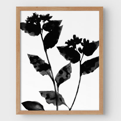 Black and White Flower Silhouette Print