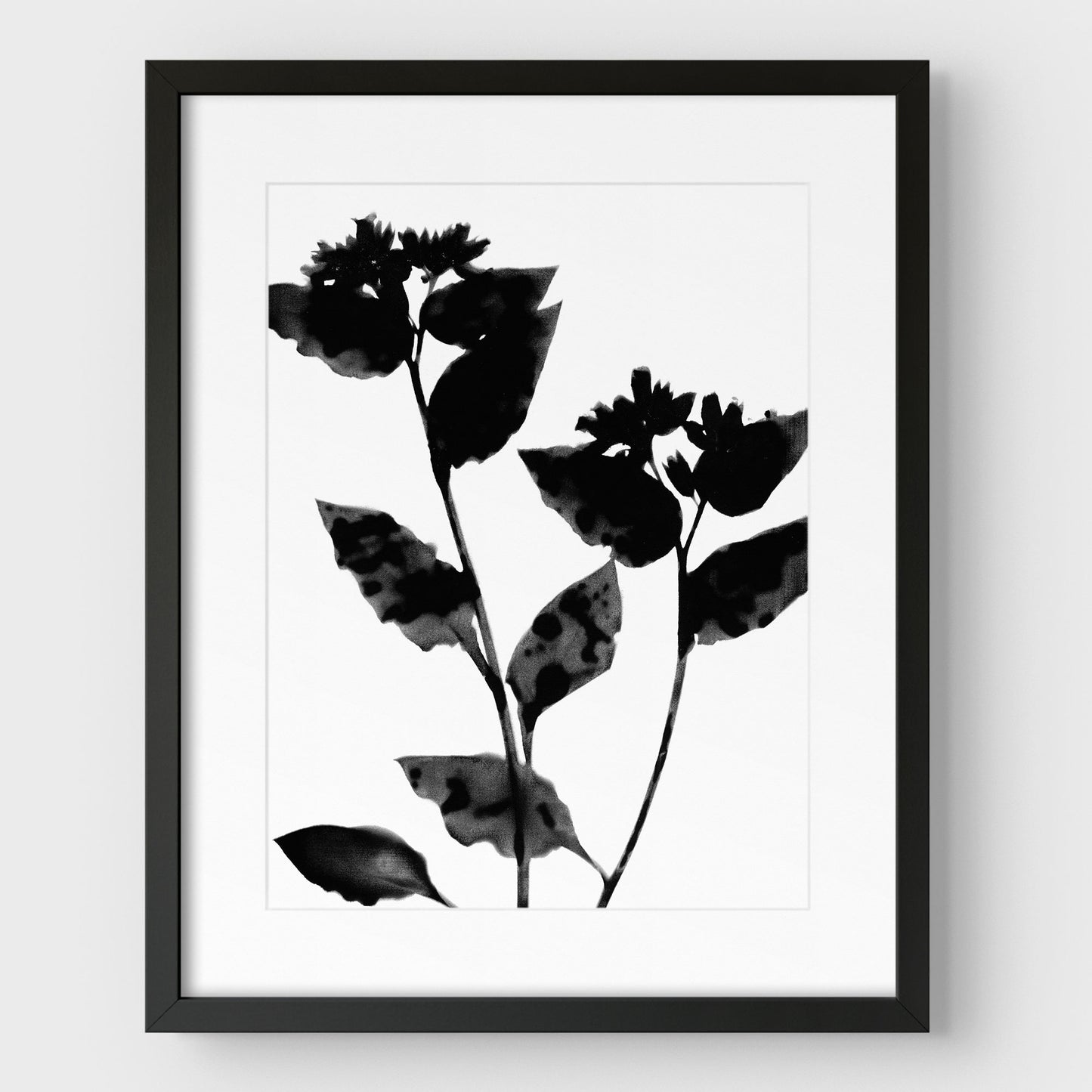 Black and White Flower Silhouette Print