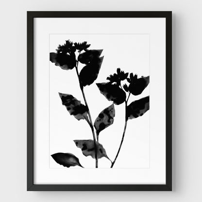 Black and White Flower Silhouette Print