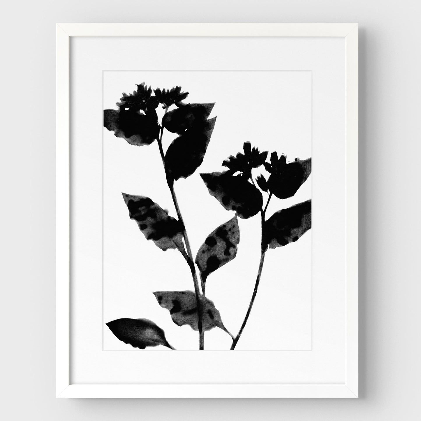 Black and White Flower Silhouette Print