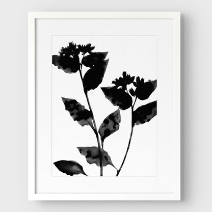 Black and White Flower Silhouette Print