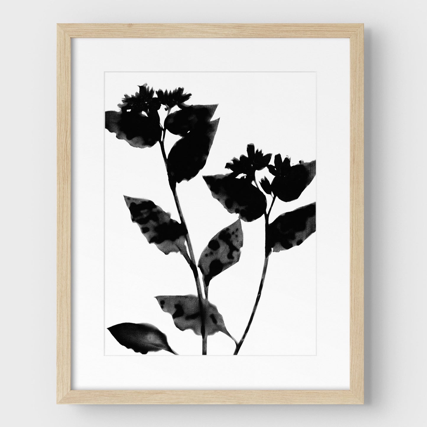 Black and White Flower Silhouette Print