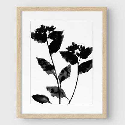 Black and White Flower Silhouette Print