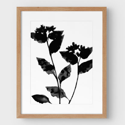 Black and White Flower Silhouette Print