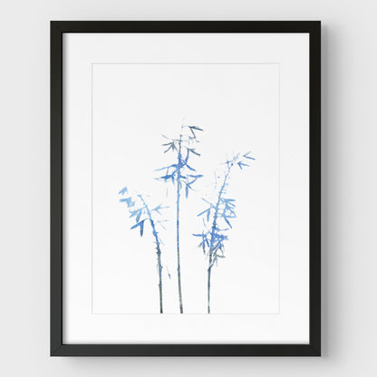 Blue Bamboo Print