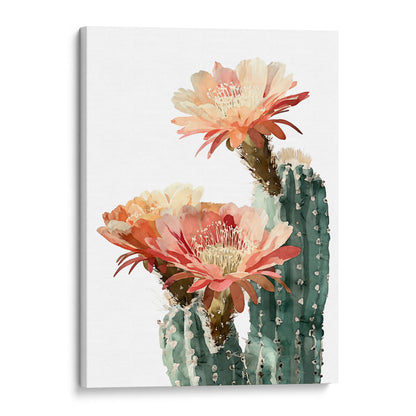 Blush Coral Blooming Cactus Watercolor Print