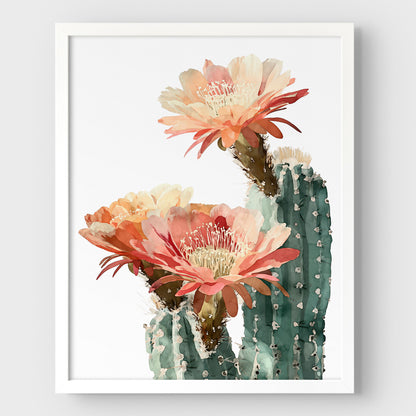 Blush Coral Blooming Cactus Watercolor Print