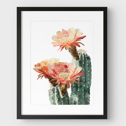 Blush Coral Blooming Cactus Watercolor Print