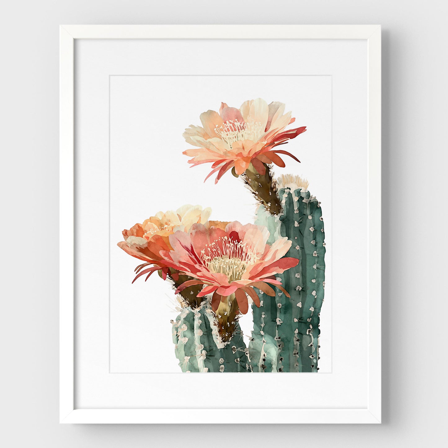 Blush Coral Blooming Cactus Watercolor Print