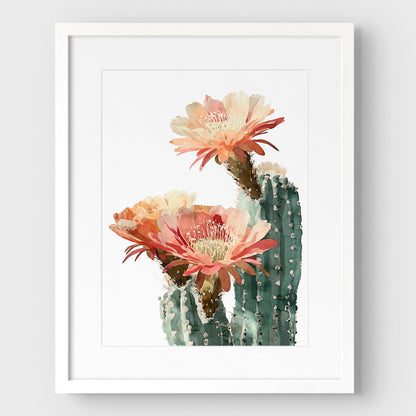 Blush Coral Blooming Cactus Watercolor Print