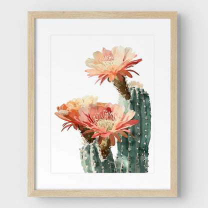 Blush Coral Blooming Cactus Watercolor Print