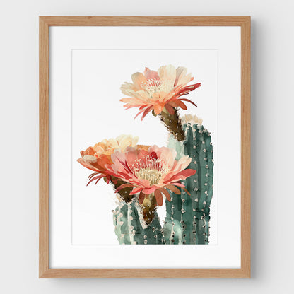 Blush Coral Blooming Cactus Watercolor Print