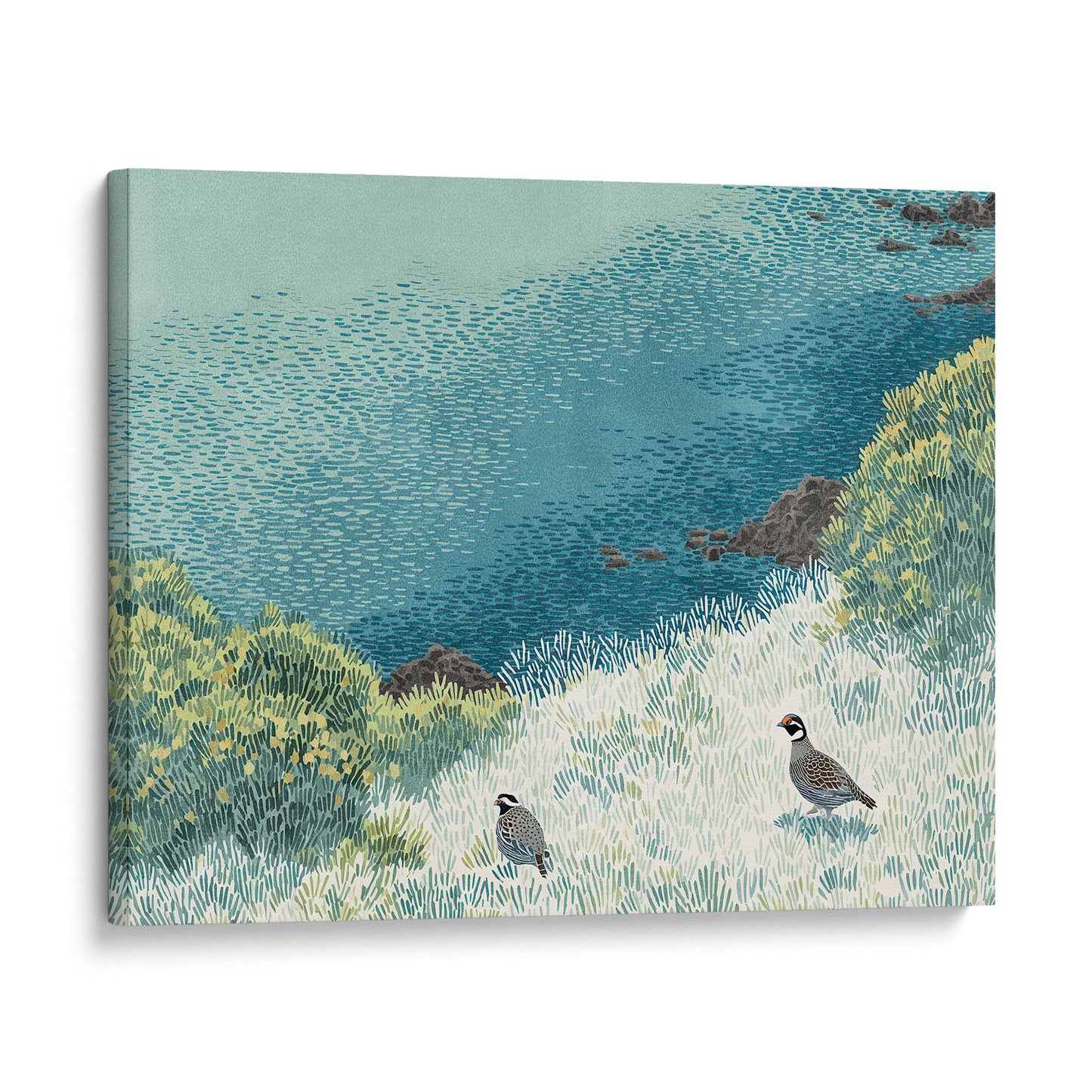 California Quail Illustration Art Print