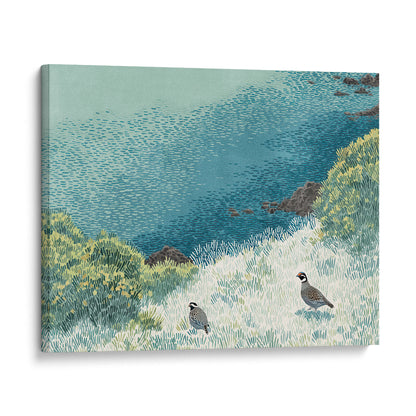 California Quail Illustration Art Print