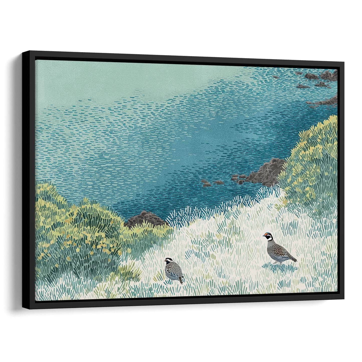 California Quail Illustration Art Print